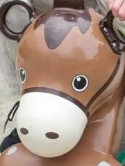 とみちんの画像