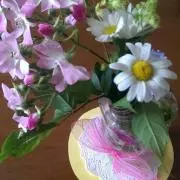 北のみっきい☆