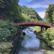 avantgaldeLC