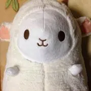 柚子の画像
