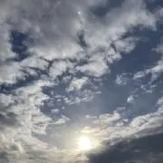 TOMの画像