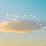 チョコ
