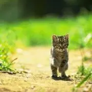 たけぞうの画像