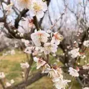 断捨離の画像