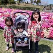 shoko☆