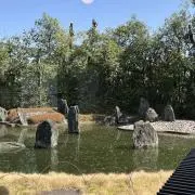 v37