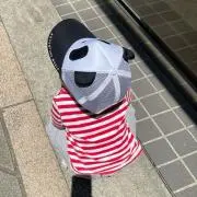 eriの画像