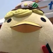 ひよこの画像
