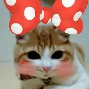 Kotubu