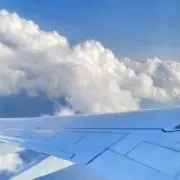 わさおの画像