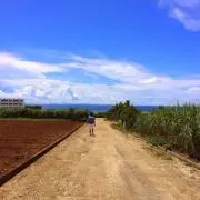 つーの画像