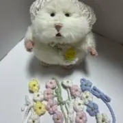 めちの画像