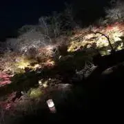 Ryouの画像