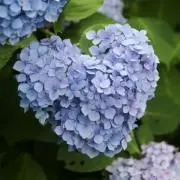 blueの画像