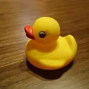 BEBEちゃん。の画像