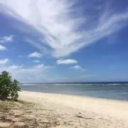 ぱんだの画像