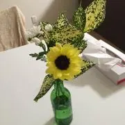HHMO♡mama
