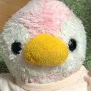 ピークーの画像