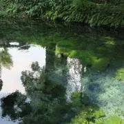 クロアカ