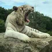 ヒロシの画像
