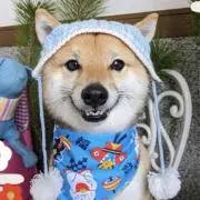 りくの画像