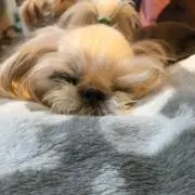 あーちゃん