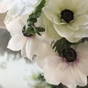 moko※ 断捨離中 ※