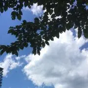いその