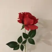 riの画像