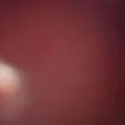 ミャンマーの画像