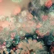 花火(^_^)／□☆□＼(^_^)の画像