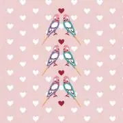 もちこの画像