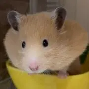 プロフ必読໒꒱