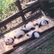 みみみの画像