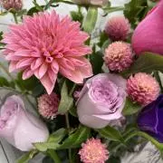 roseの画像