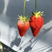 まりまり♡即購入大歓迎♡フォロー割有りの画像