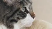 ななみぶんたの画像