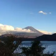 ケンケンの画像