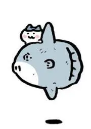 めずの画像