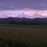 藤岡農産の画像