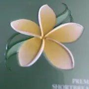 フラワーの画像