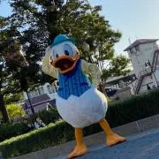 a.hの画像