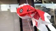 だらちゃんの画像