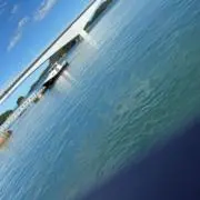 れんの画像