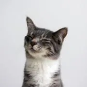 kurageの画像