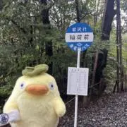 こあらっこの画像