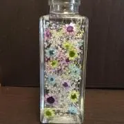 ぱぴこ〈断捨離中〉の画像