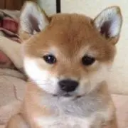 ☆nori☆の画像