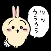 156の画像