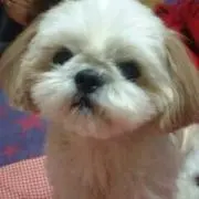 あーちゃんママ☆